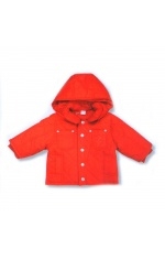 ������ Chicco