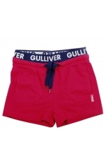 ����� ��� �������� Gulliver
