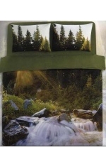 �������� ����������� ����� Ranforce Tac Forest